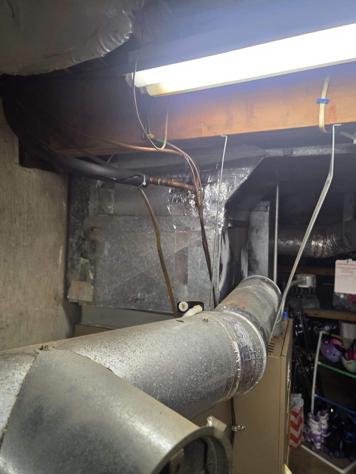 Job photo 3