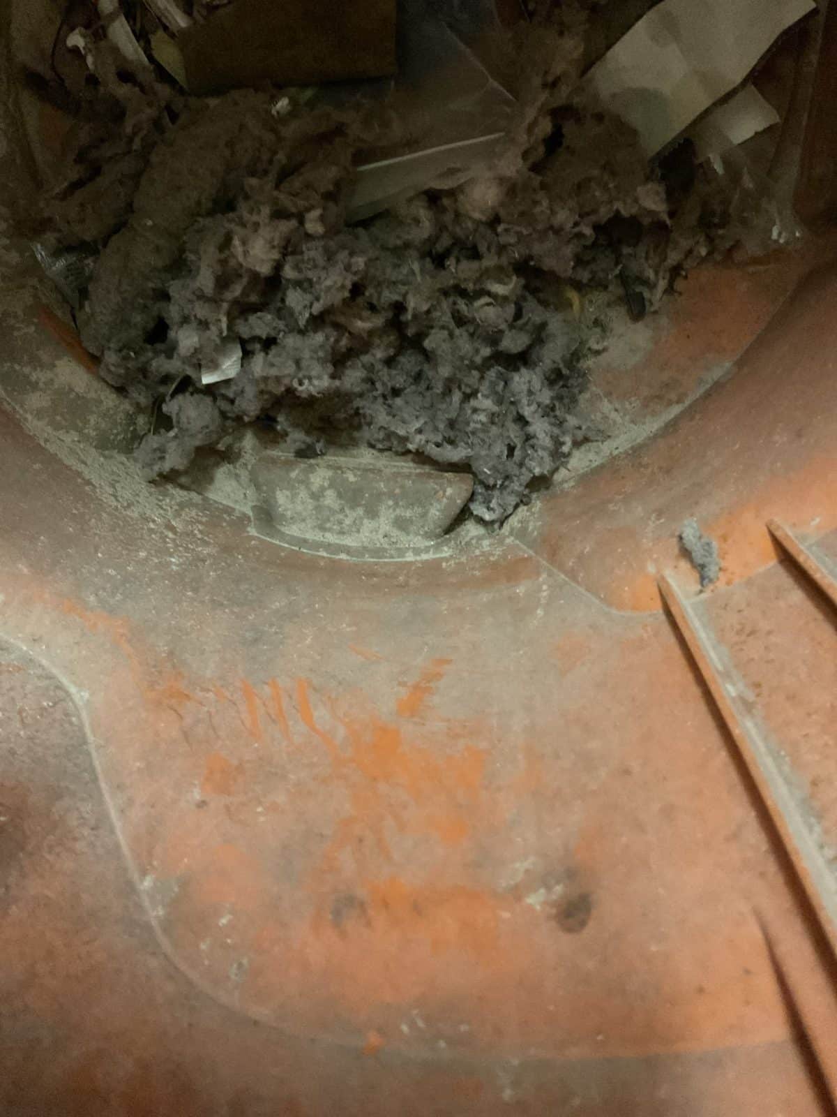Job photo 2