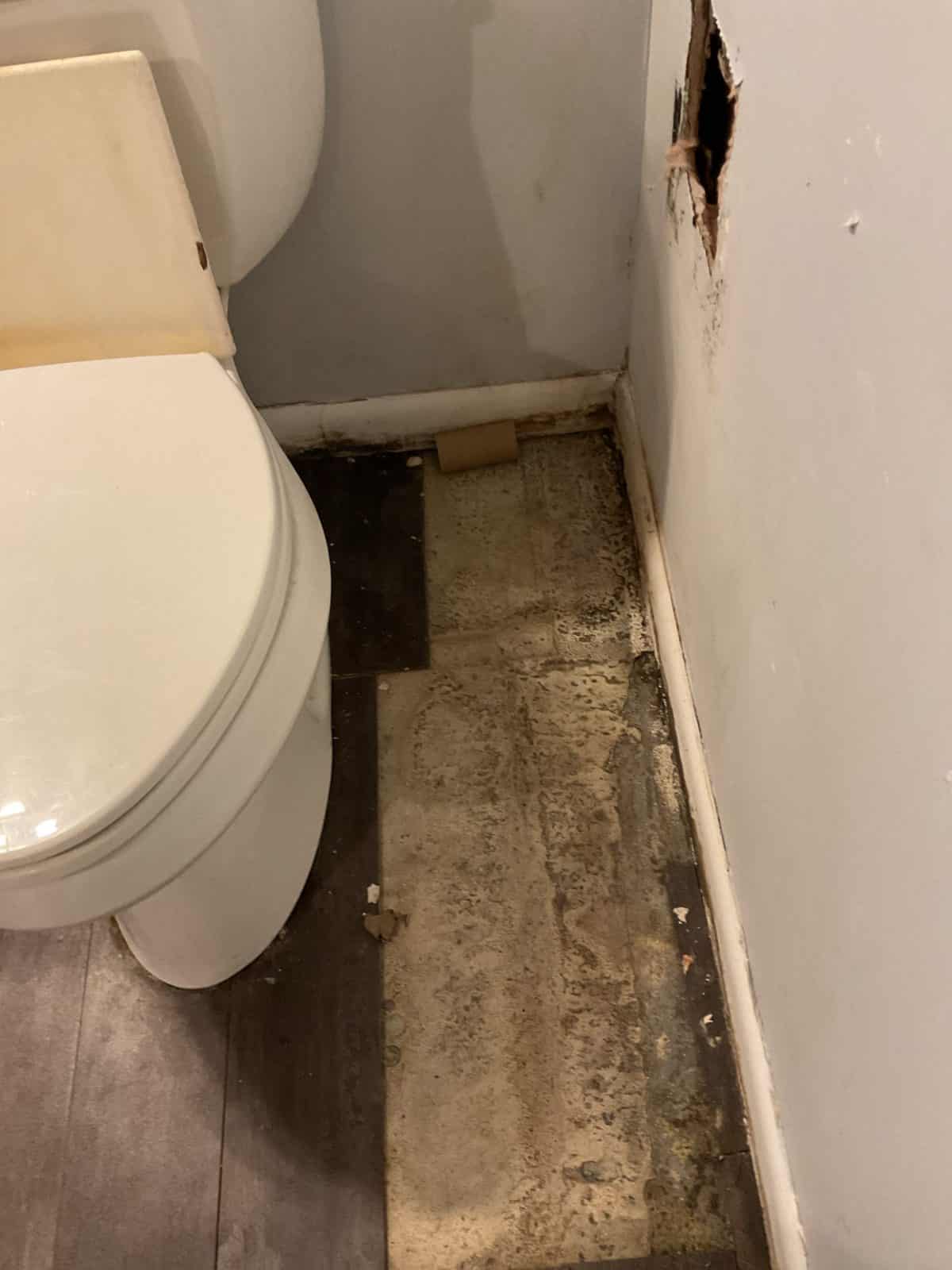General Plumbing