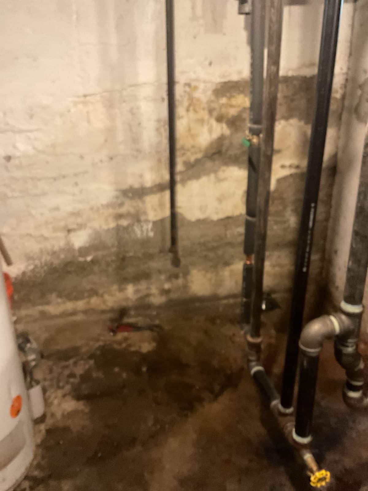 Job photo 6