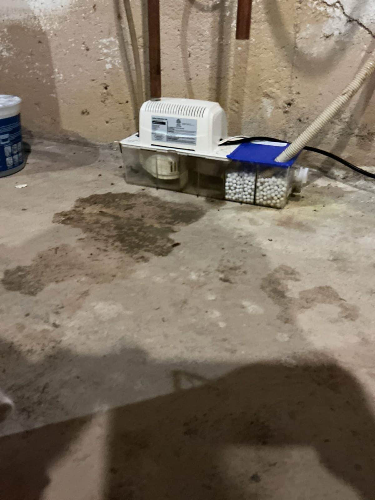 Job photo 3