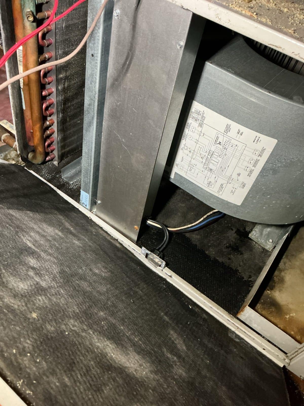 Job photo 10