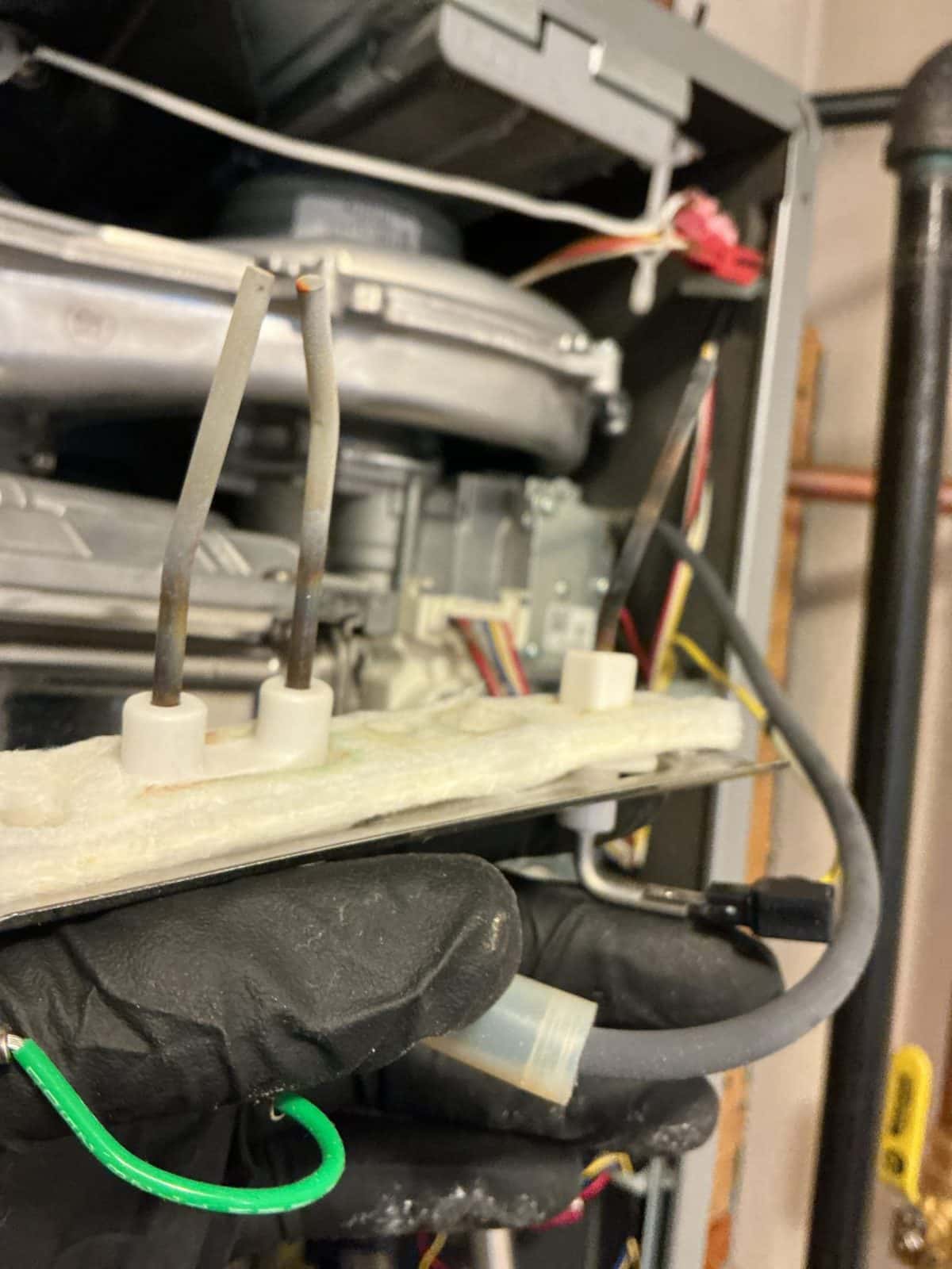 Job photo 6